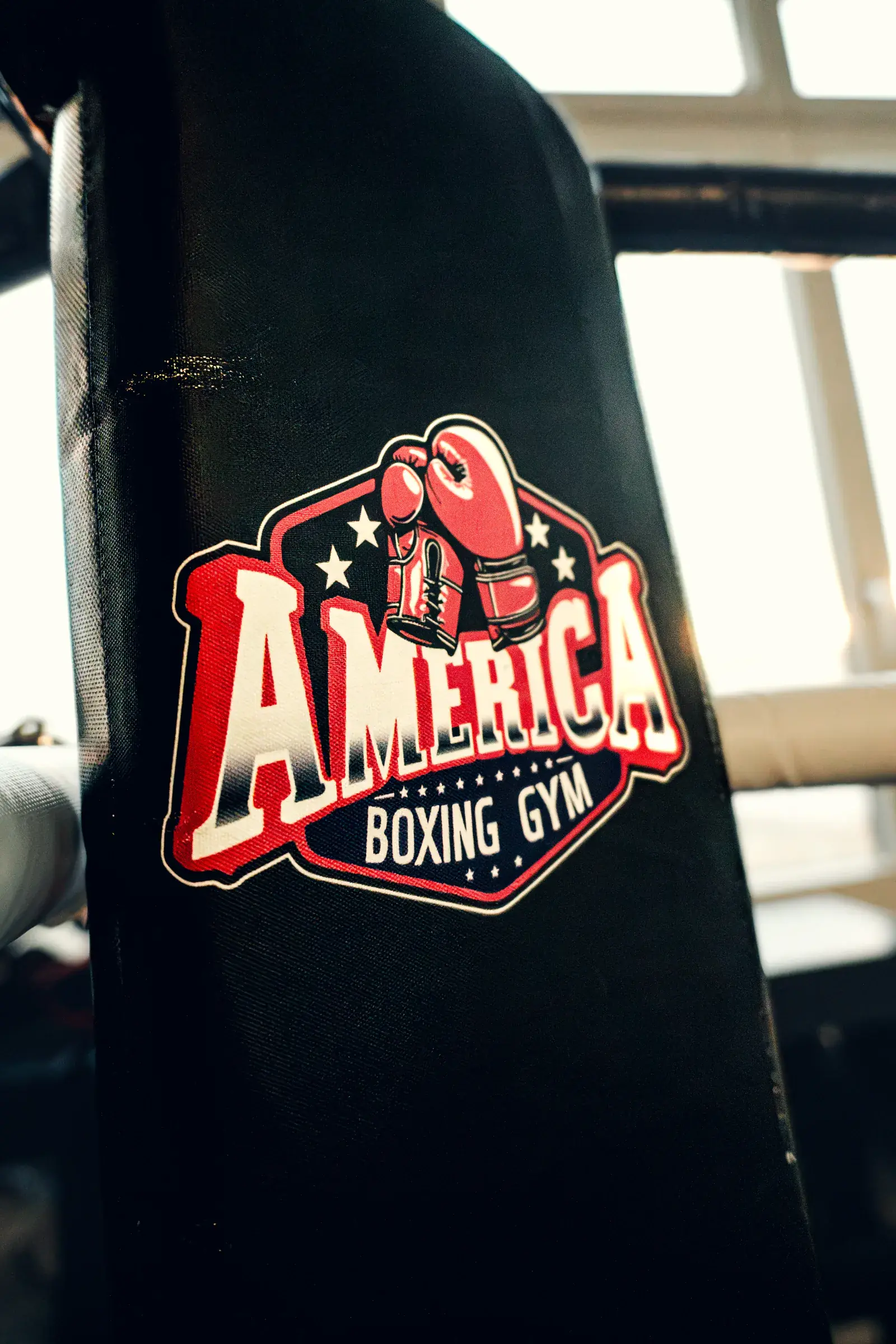 Nahaufnahme des Wappens des America Boxing Gym mit roten Boxhandschuhen und Sternen auf dem schwarzen Eckpolster.
